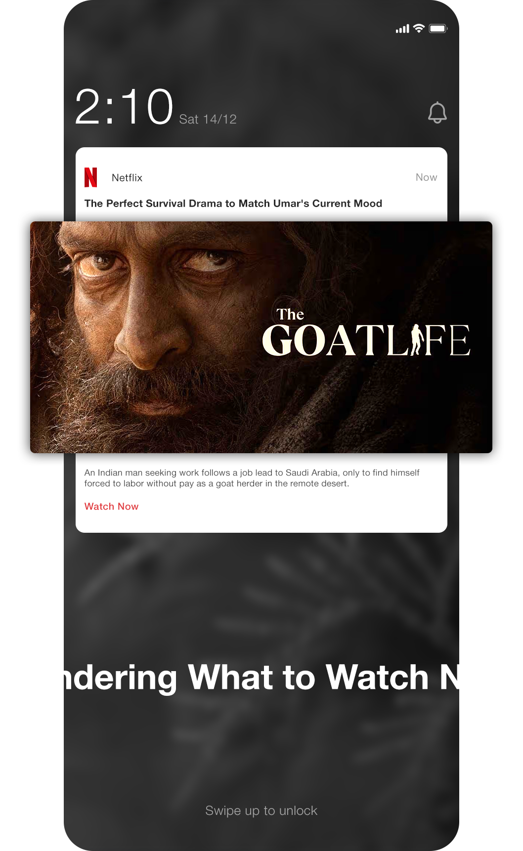 Slide 1